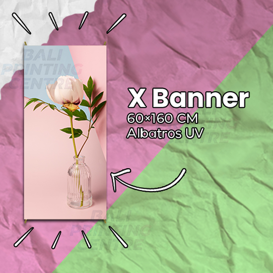 X Banner 60 X 160 Albatros UV